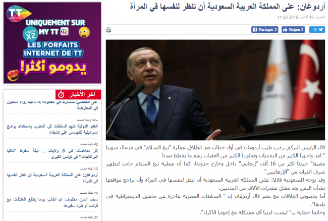 Erdoğan'ın Mısır ve Suudi Arabistan'a yönelik sözleri Arap basınında